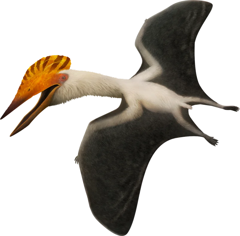 Bakonydraco