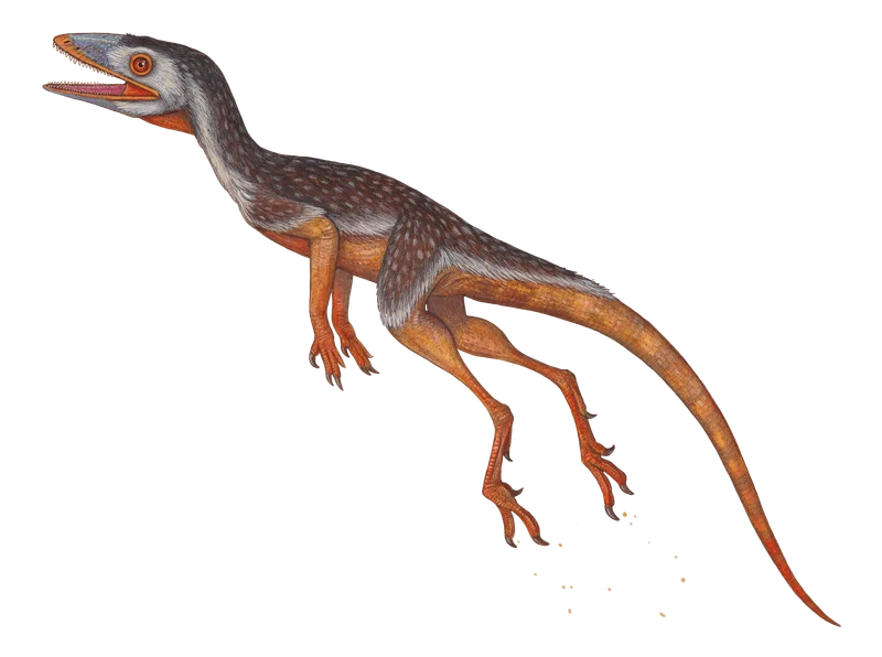 Illustration of Lagerpeton