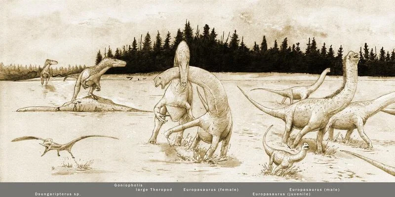 Langenberg Fauna