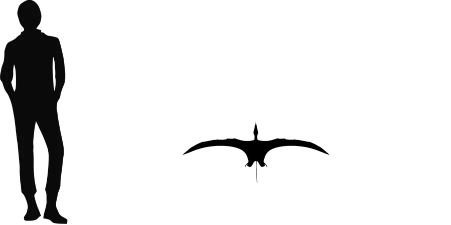 Austriadactylus wingspan comparison