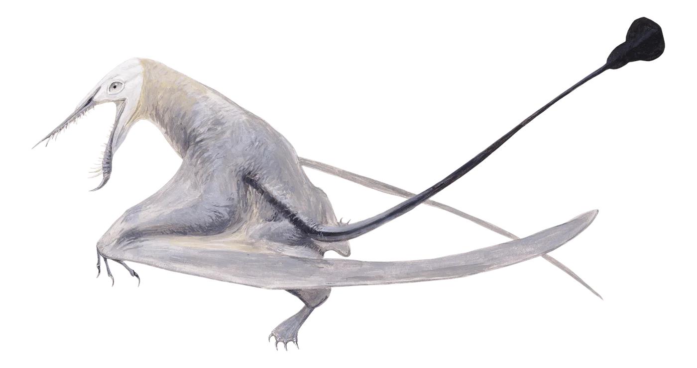 Klobiodon