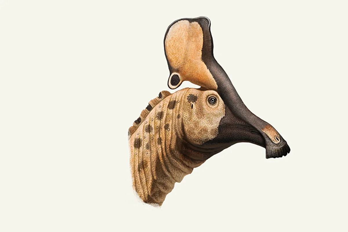 Olorotitan, a duck-billed dinosaur