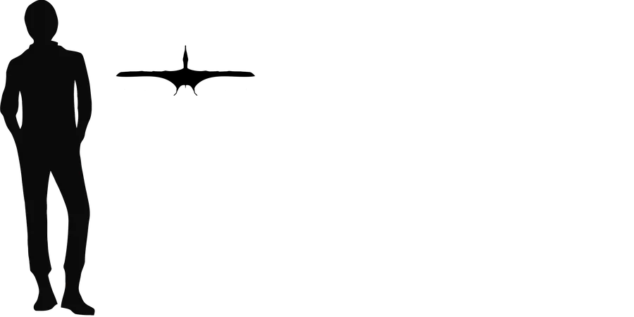 Piksi wingspan comparison