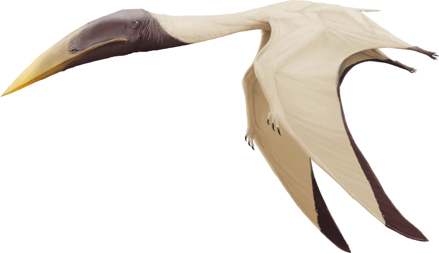 Azhdarcho