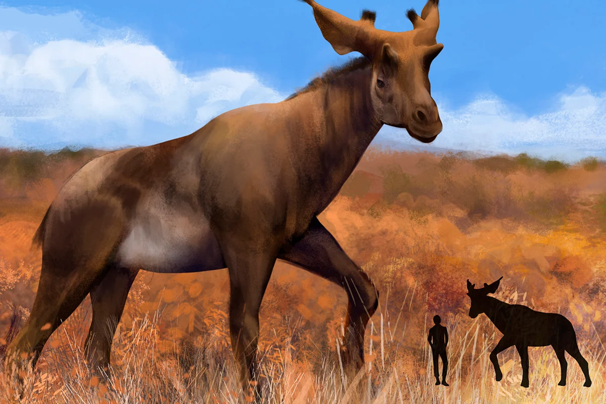 Sivatherium 