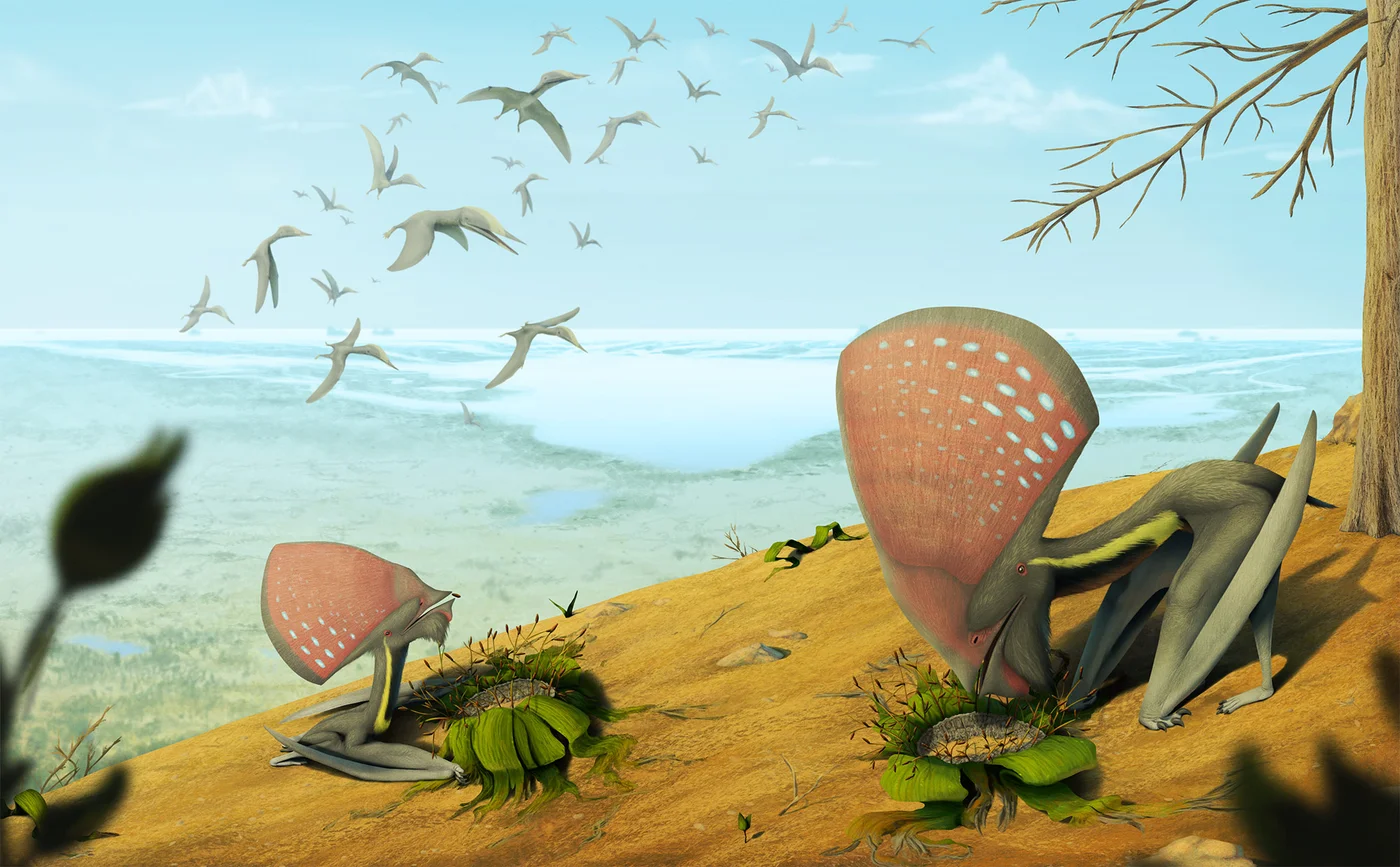 Crato Formation