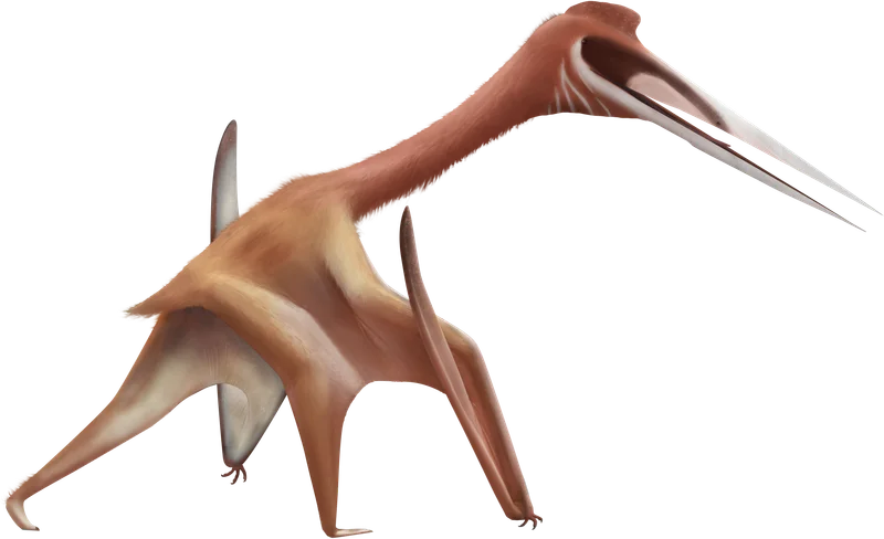 Aerotitan