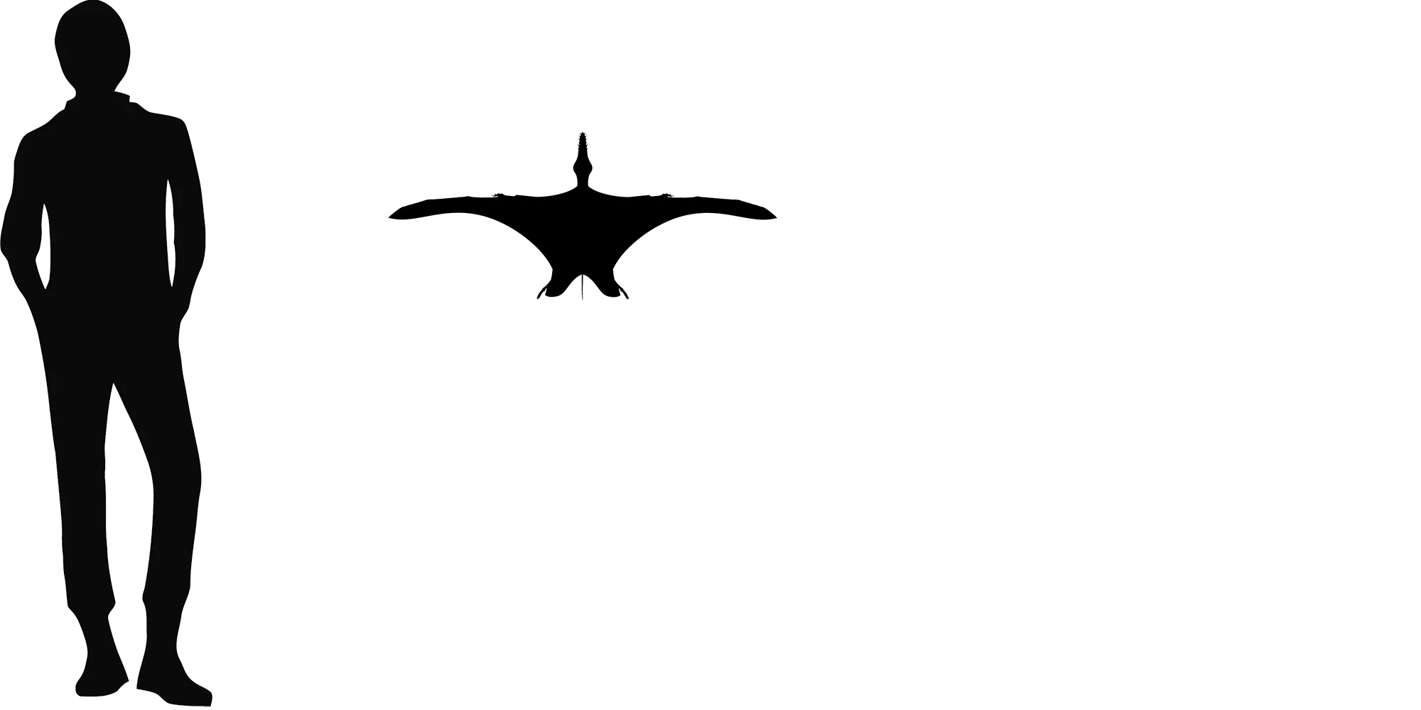 Jianchangnathus wingspan comparison
