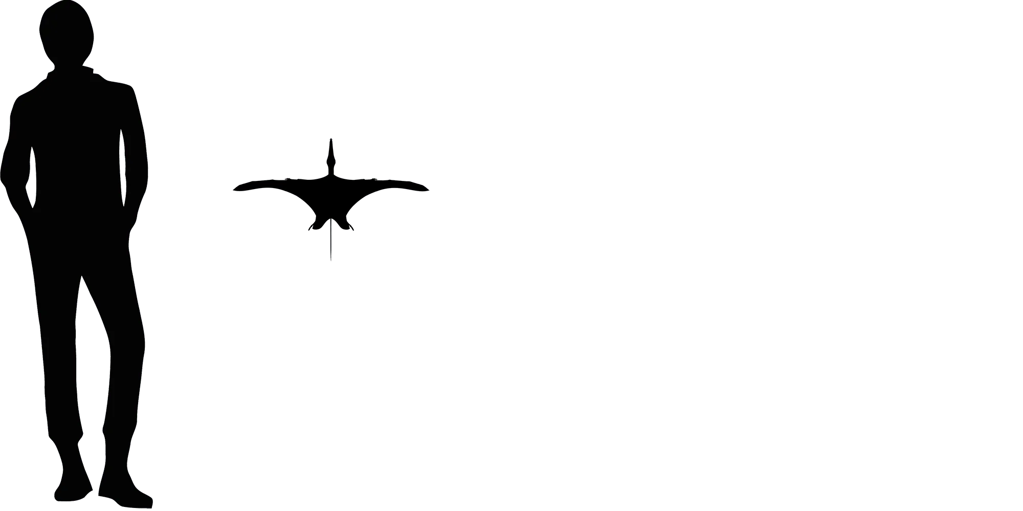Kunpengopterus wingspan comparison