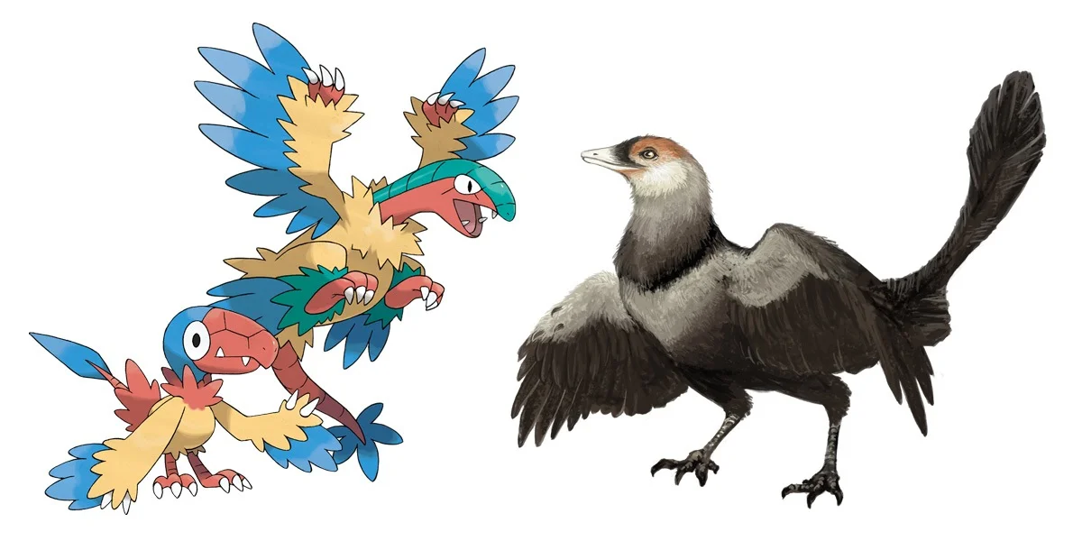 Archen and Archeops: Archaeopteryx