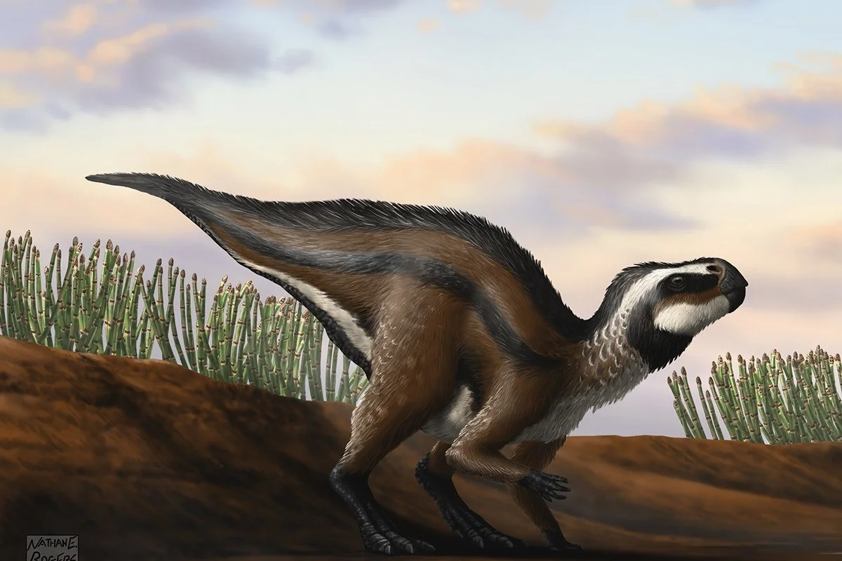 Rhabdodontid