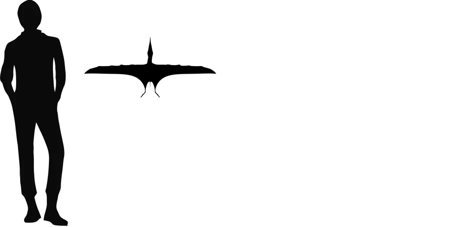 Germanodactylus wingspan comparison