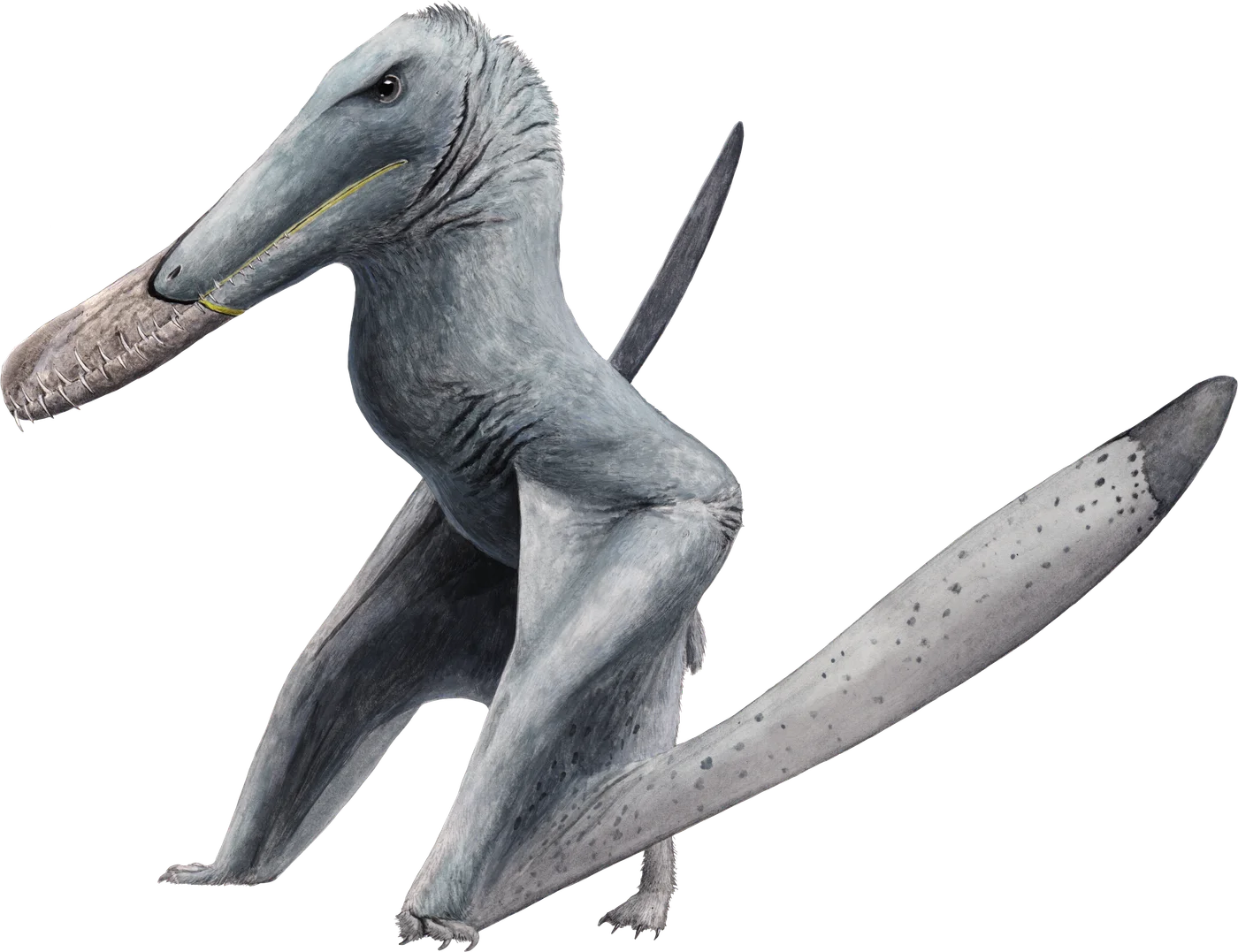 Mythunga