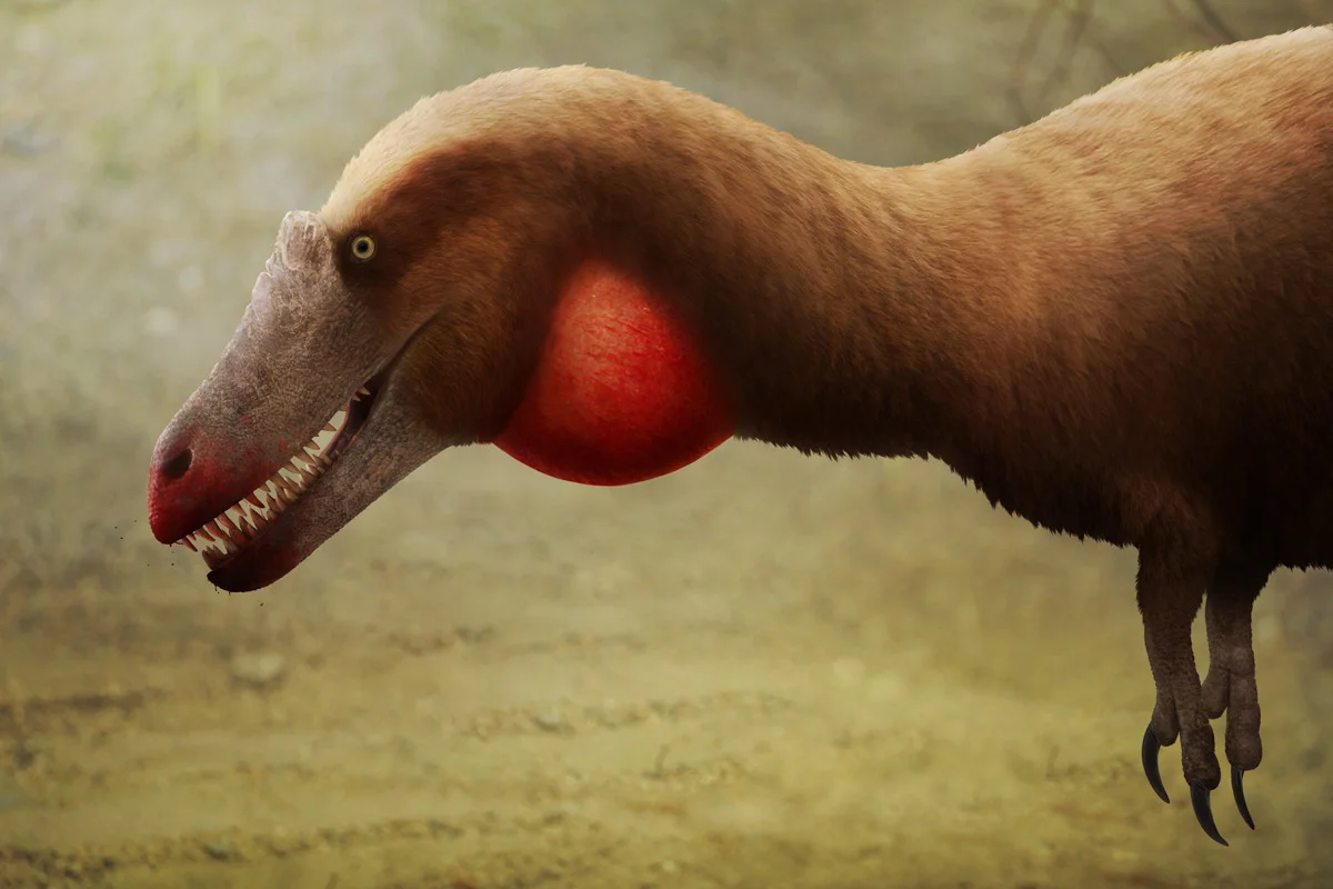 Gualicho shinyae