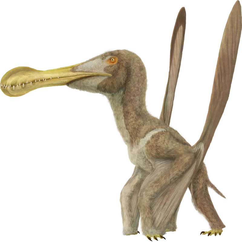 Ornithocheirus