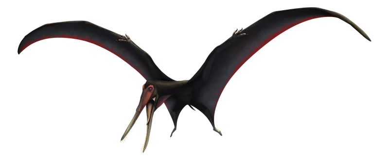 Targaryendraco