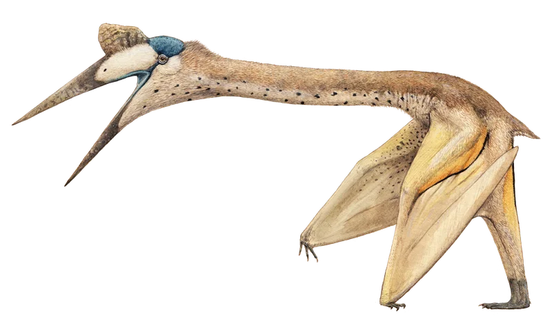 Quetzalcoatlus