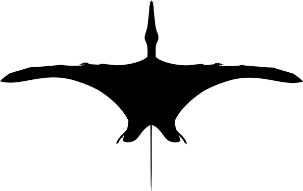 Wukongopteridae