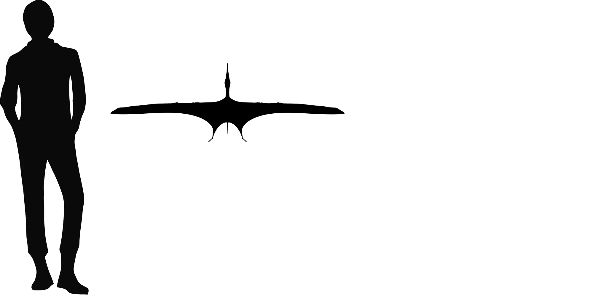 Boreopterus wingspan comparison