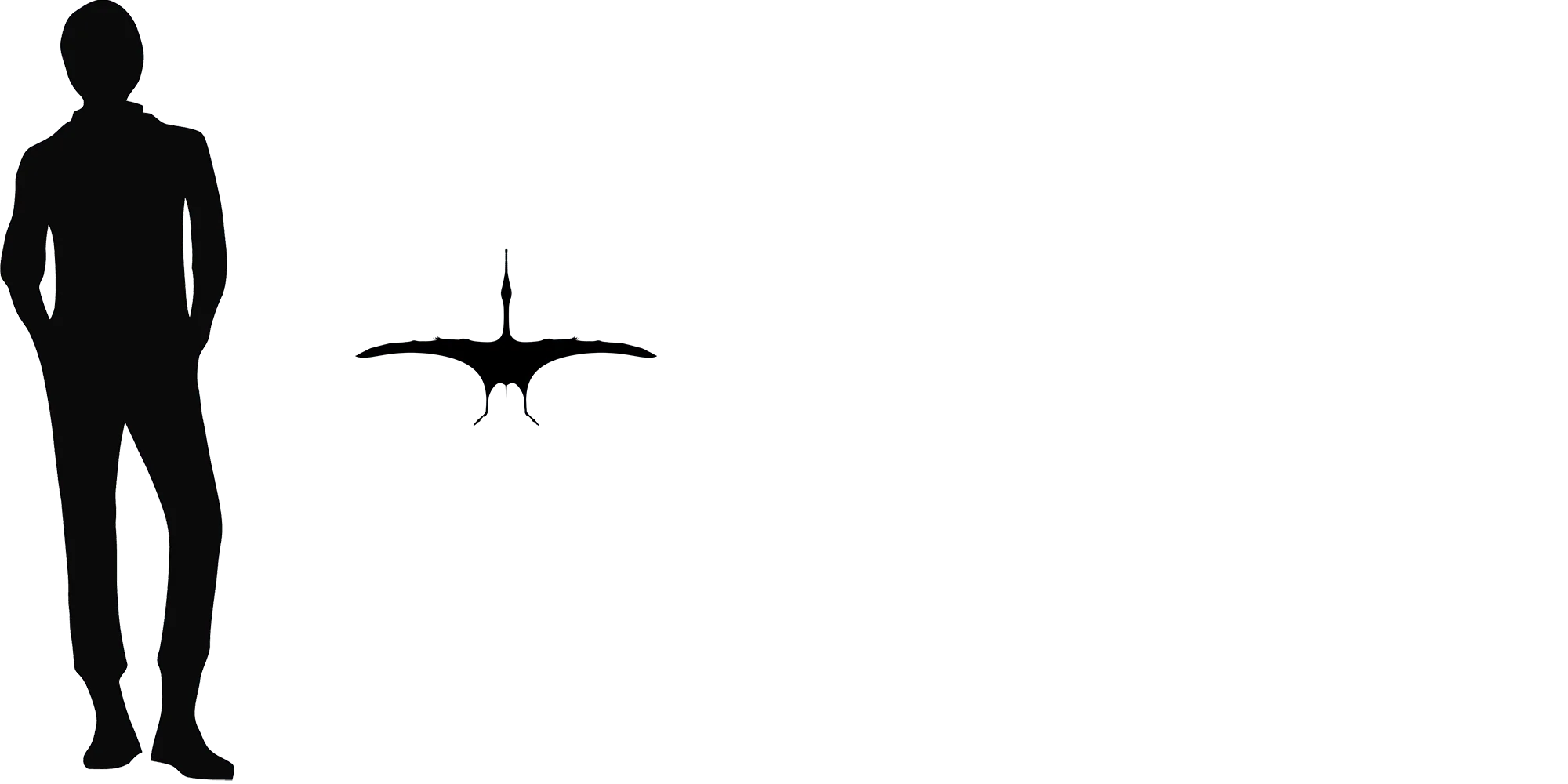 Gegepterus wingspan comparison