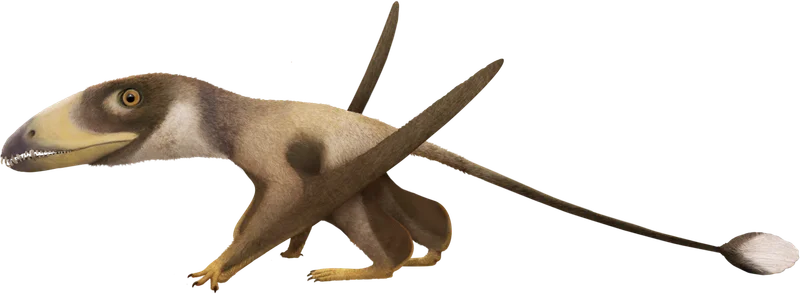 Dimorphodon