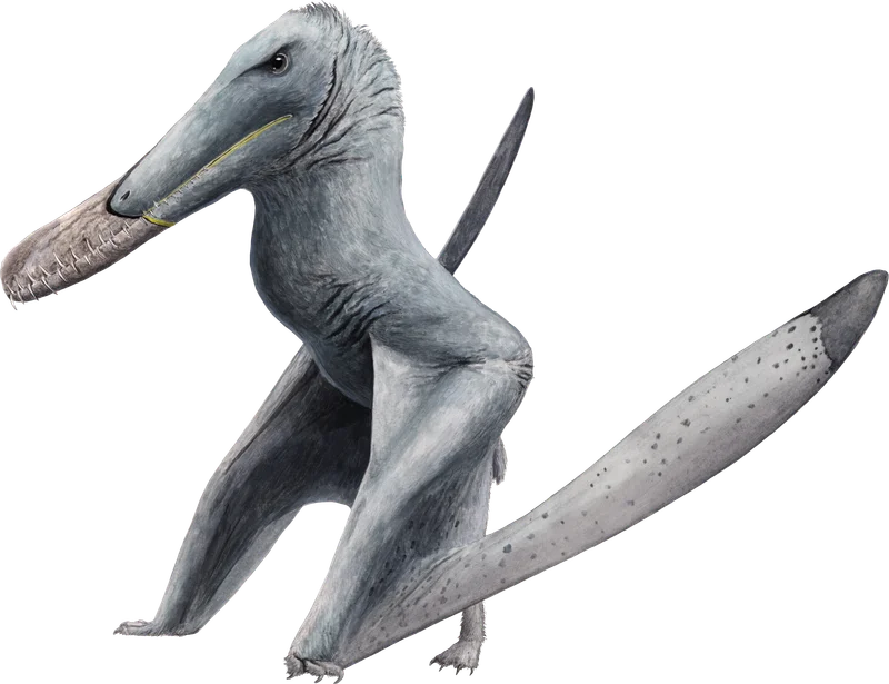 Mythunga