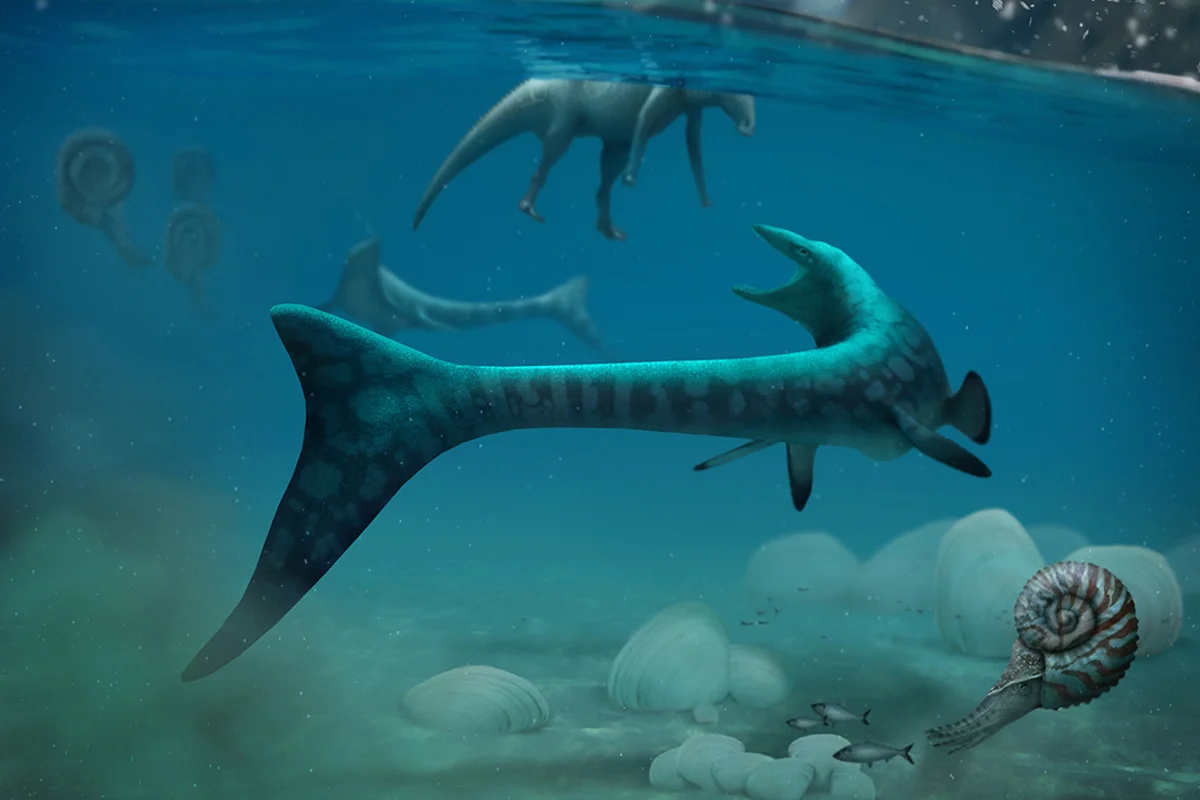 Mosasaurs