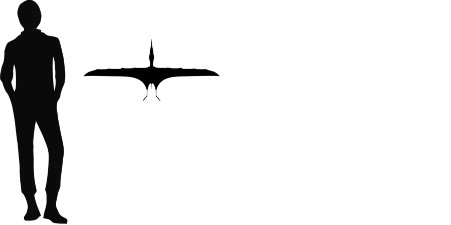 Herbstosaurus wingspan comparison