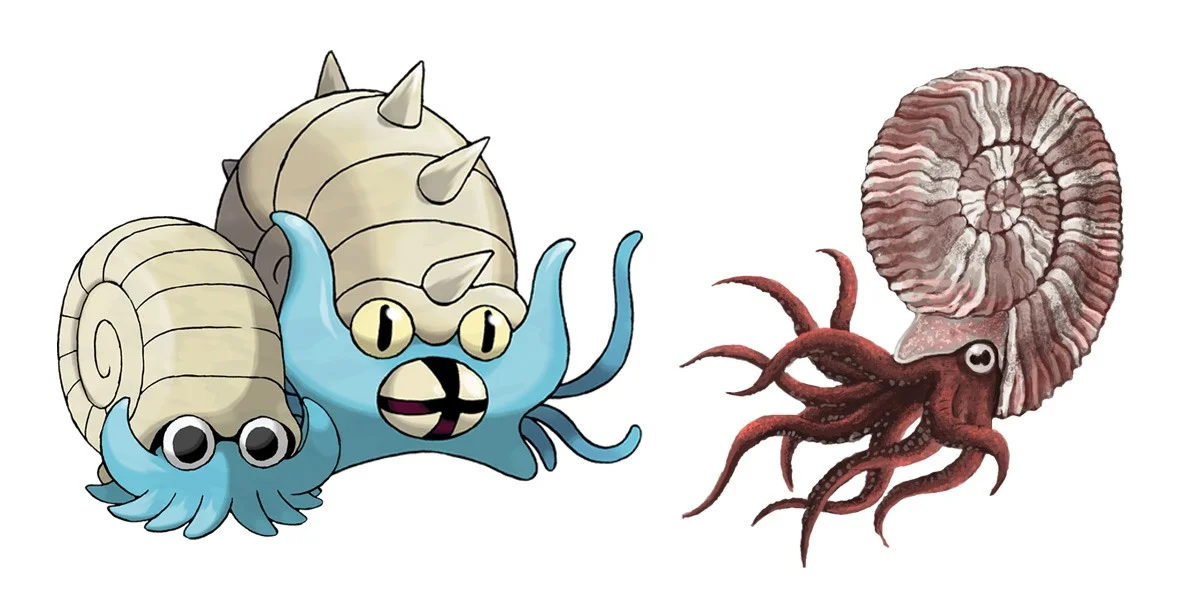 Omanyte and Omastar: Ammonites