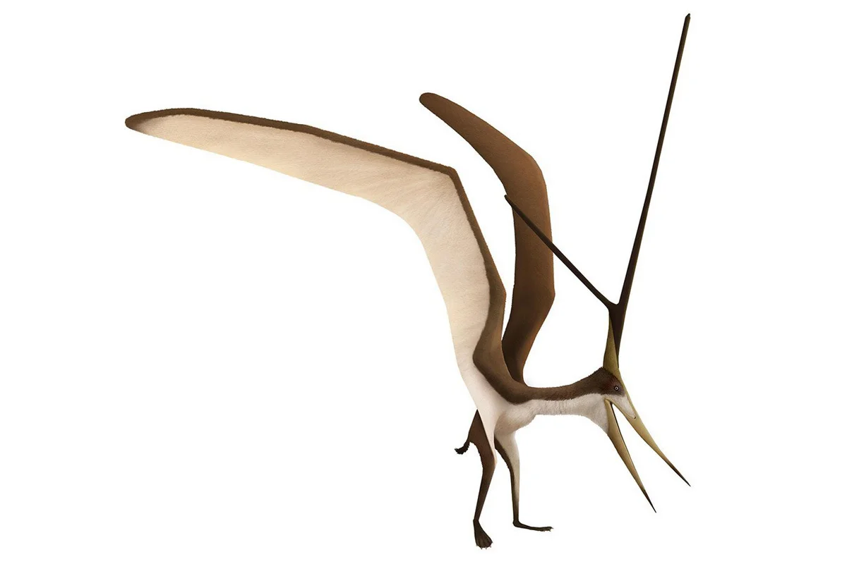 Nyctosaurus