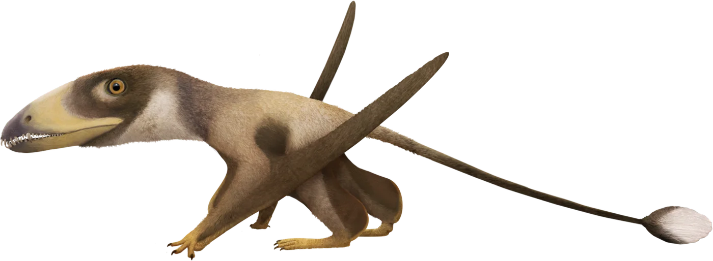 Dimorphodon