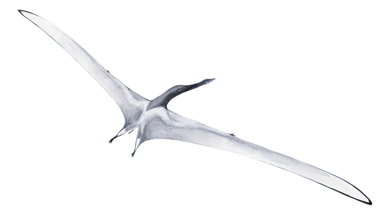 Arthurdactylus