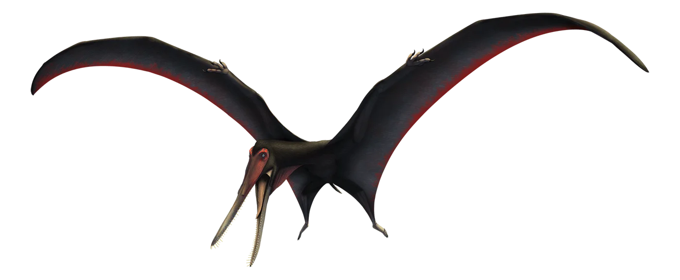 Targaryendraco