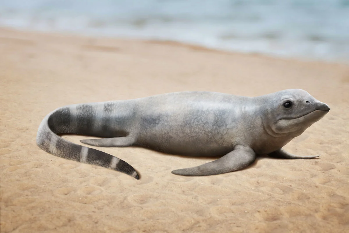 Cartorhynchus on the shore