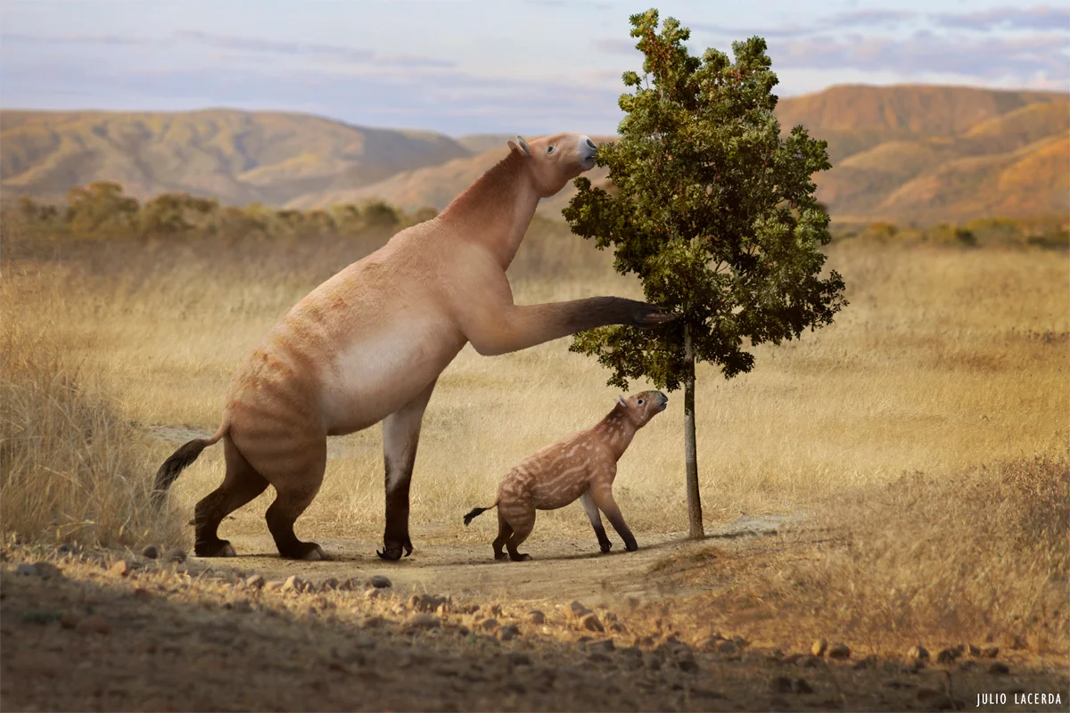 A pair of adult and young Chalicotherium feeding on leaves.