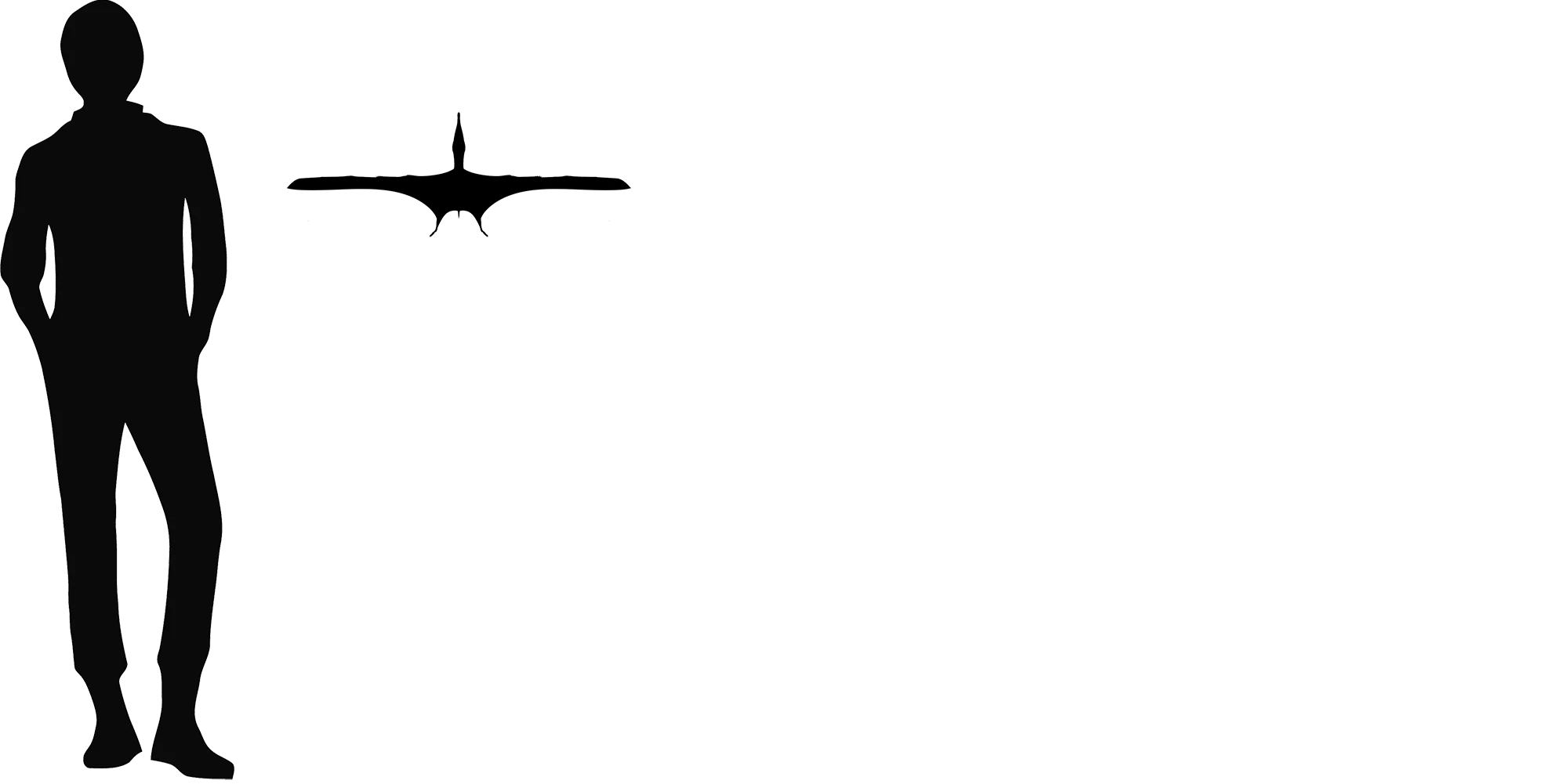 Piksi wingspan comparison