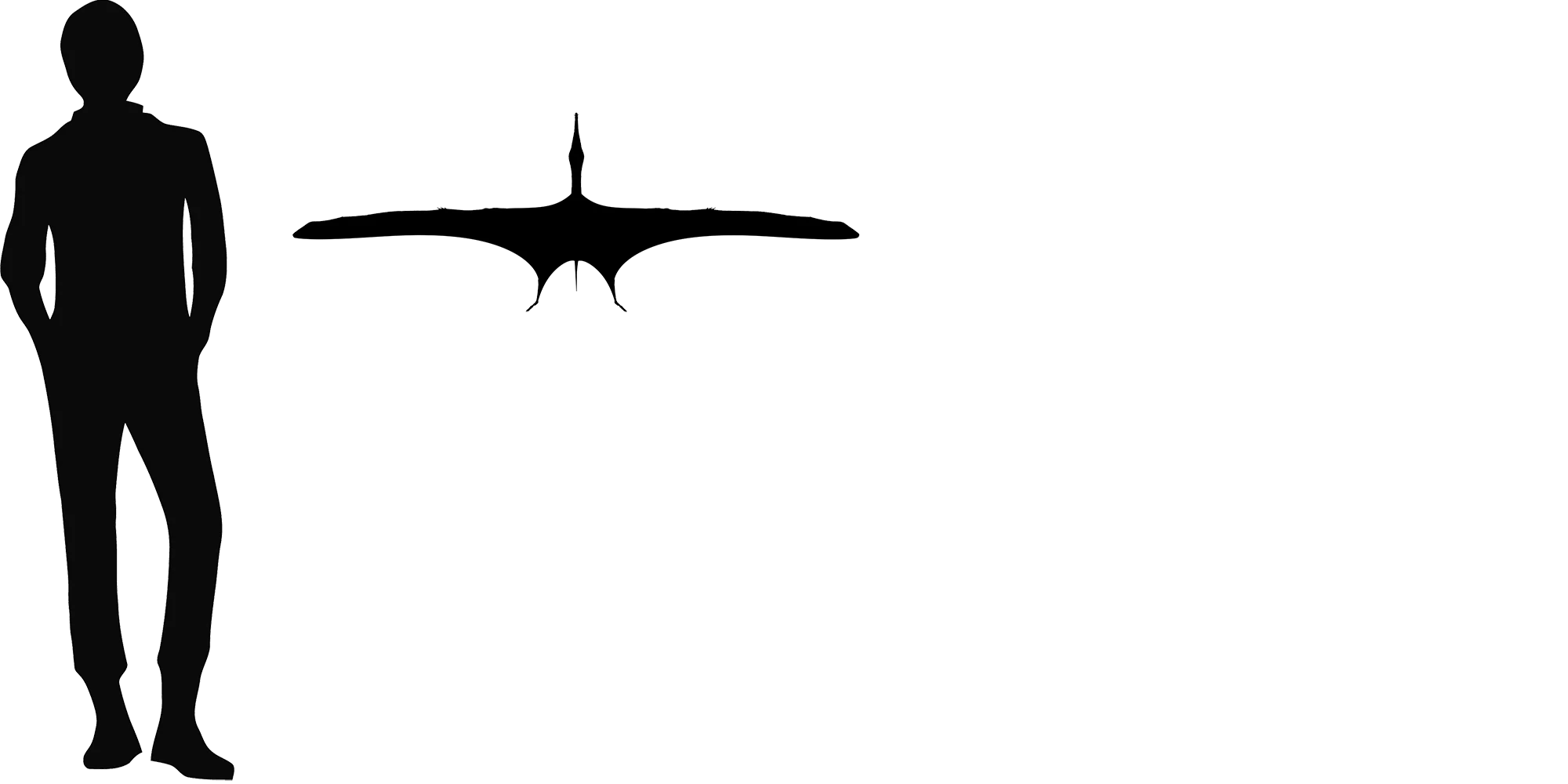 Haopterus wingspan comparison