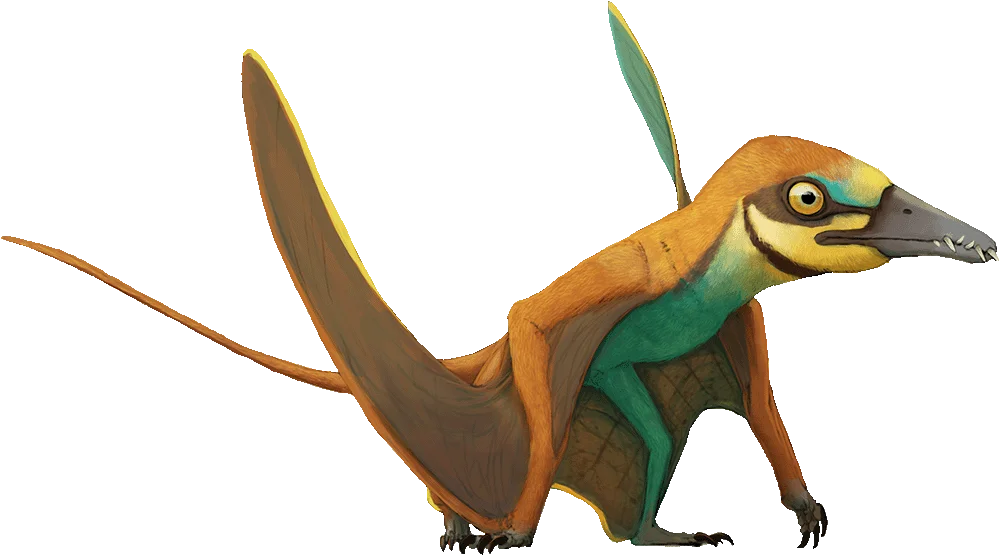 Arcticodactylus preparing to fly