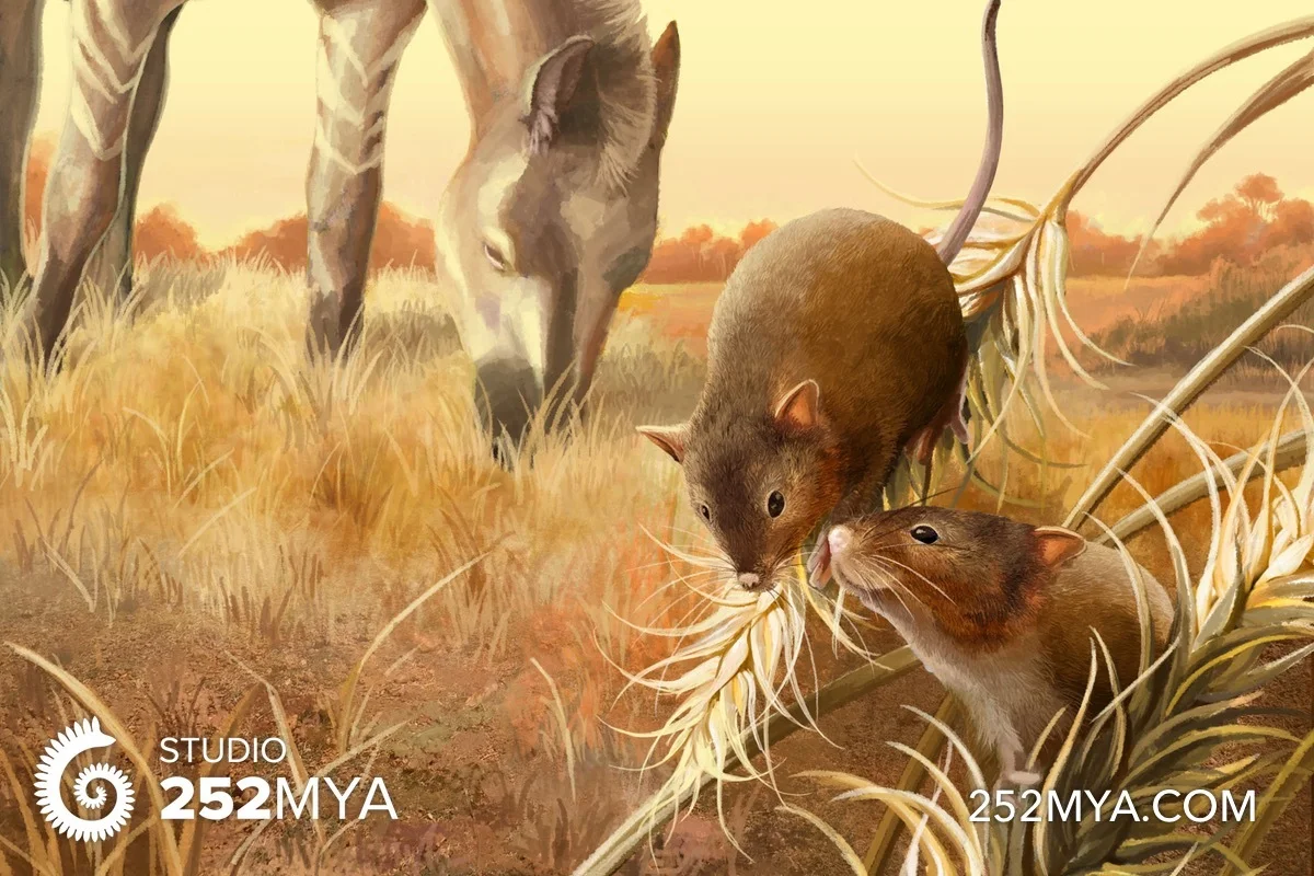 Cenozoic grassland