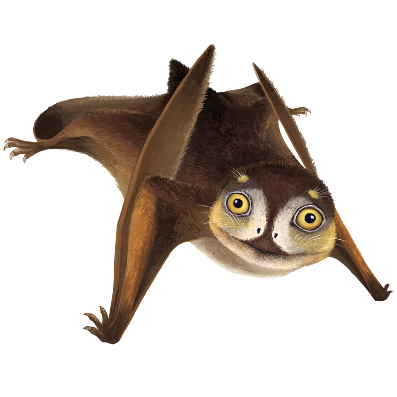 Sinuiju Anurognathid