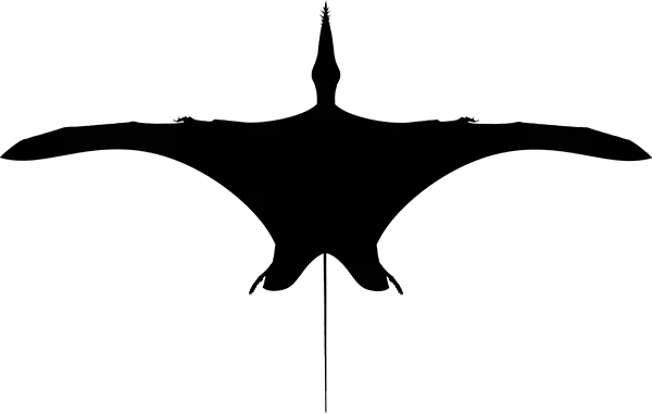 Rhamphorhynchidae