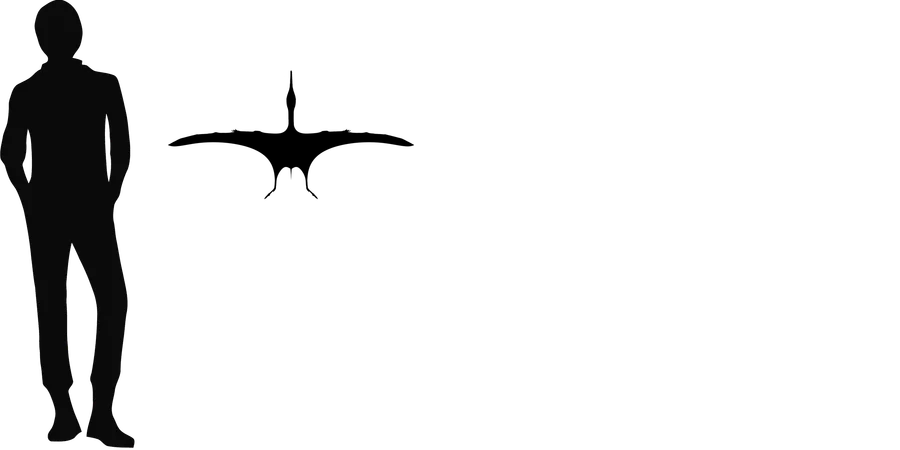 Aerodactylus wingspan comparison
