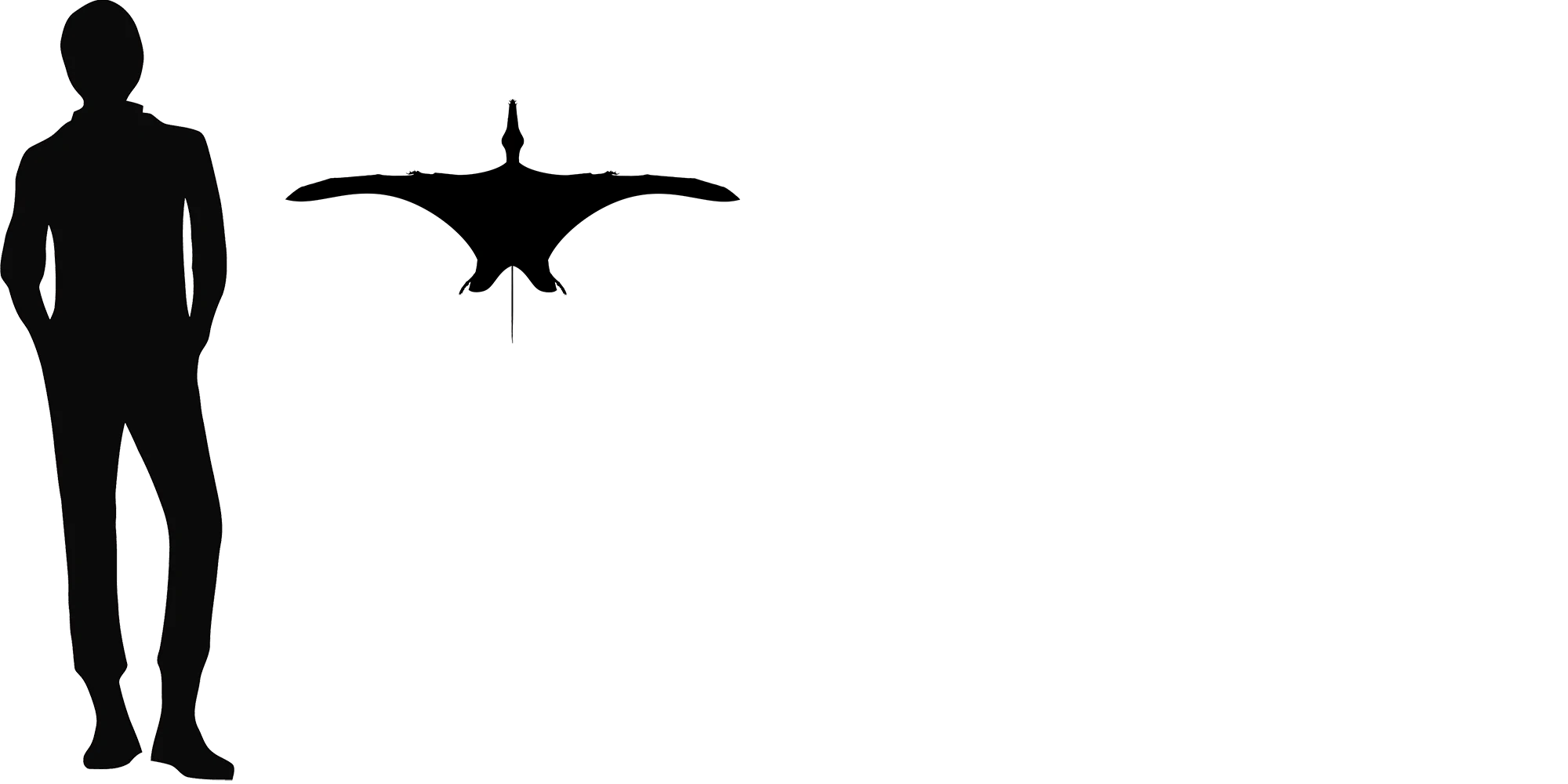 Sordes wingspan comparison