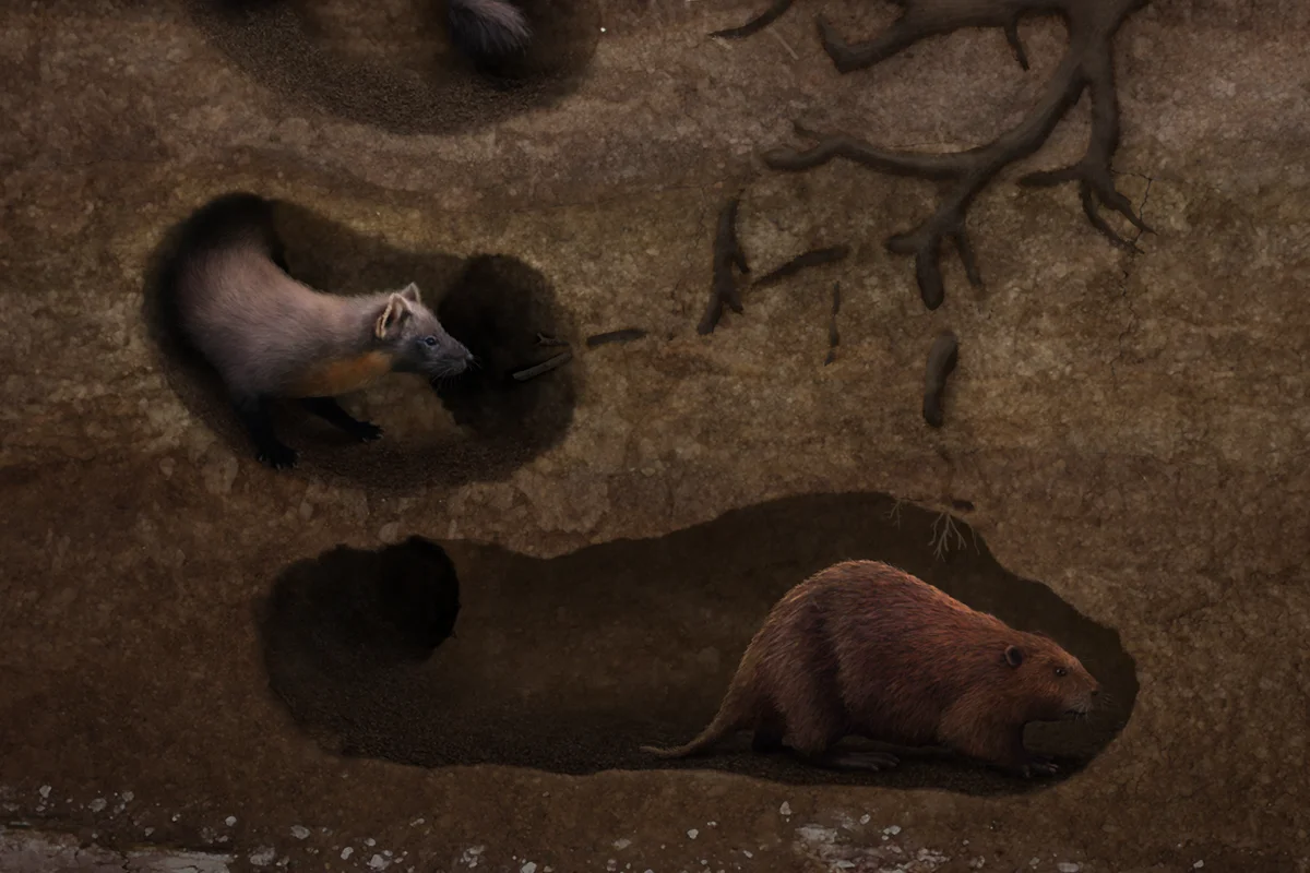 An underground drama of life and death