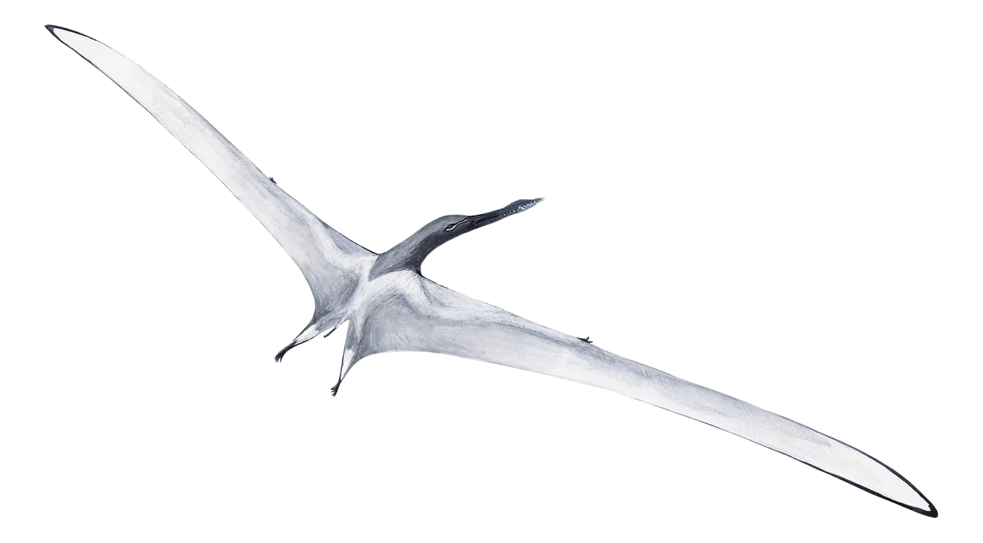 Arthurdactylus
