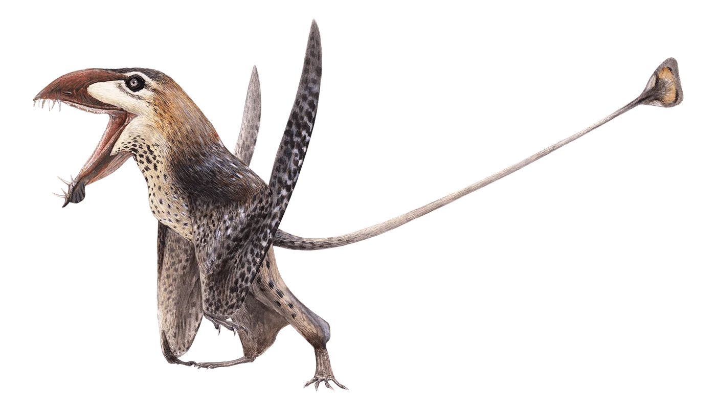 Caelestiventus