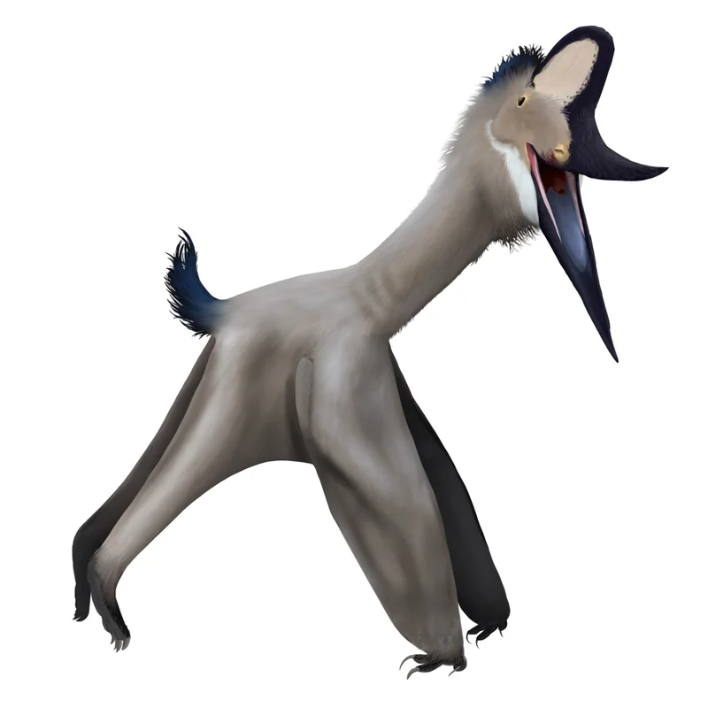 Navajodactylus