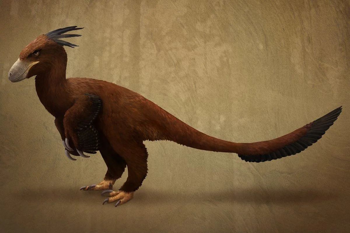 Utahraptor