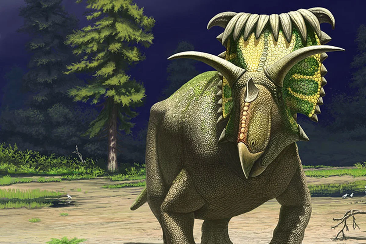 Kosmoceratops life reconstruction