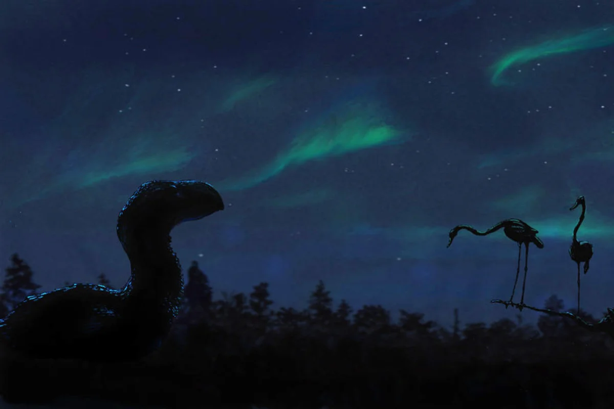 Under the aurora